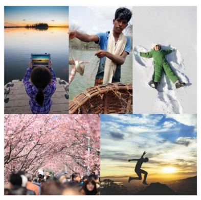 Nature for All Collage