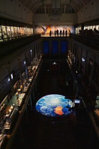 Treasures Ild Aus Mus