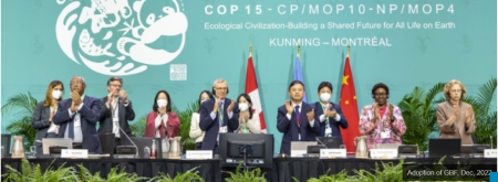Kunming Montreal Global Biodiversity Framework