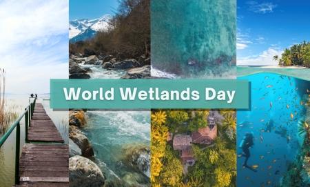 Wetlands &amp; Climate Change