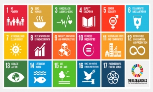 Financing the New Urban Agenda