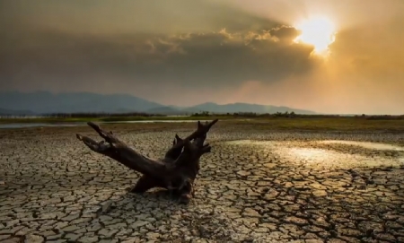 Climate Change Insights