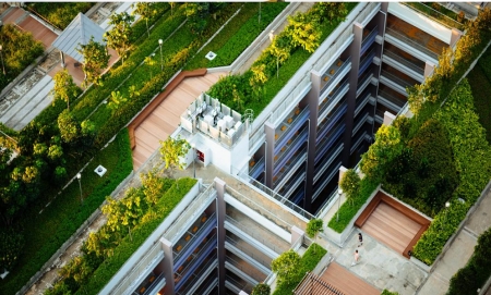 How this Swiss city is using green roofs to combat climate change