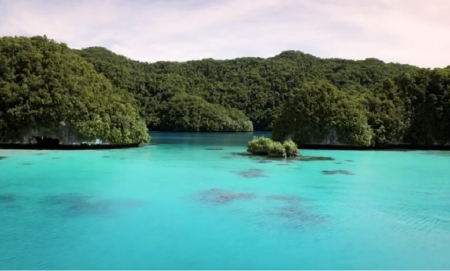 Palau Pledge case study