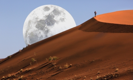 A Tour Operator Plan to Tackle The Climate Crisis