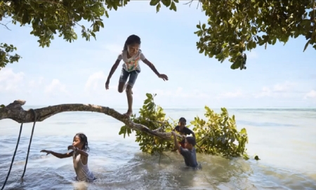 The Palau Pledge