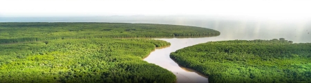 International Union for Conservation of Nature - IUCN