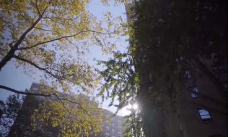 The Future We Don't Want - For cities, the heat is on