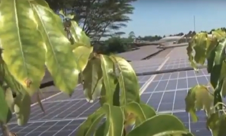 Green Industry Platform